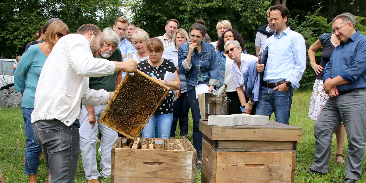 Aus der Akademie: Artenvielfalt im eigenen Garten