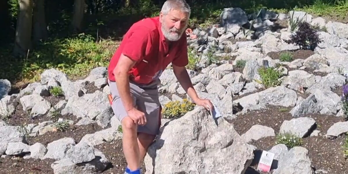 Aus der Akademie: Ein Alpensteingarten für den Akademiepark