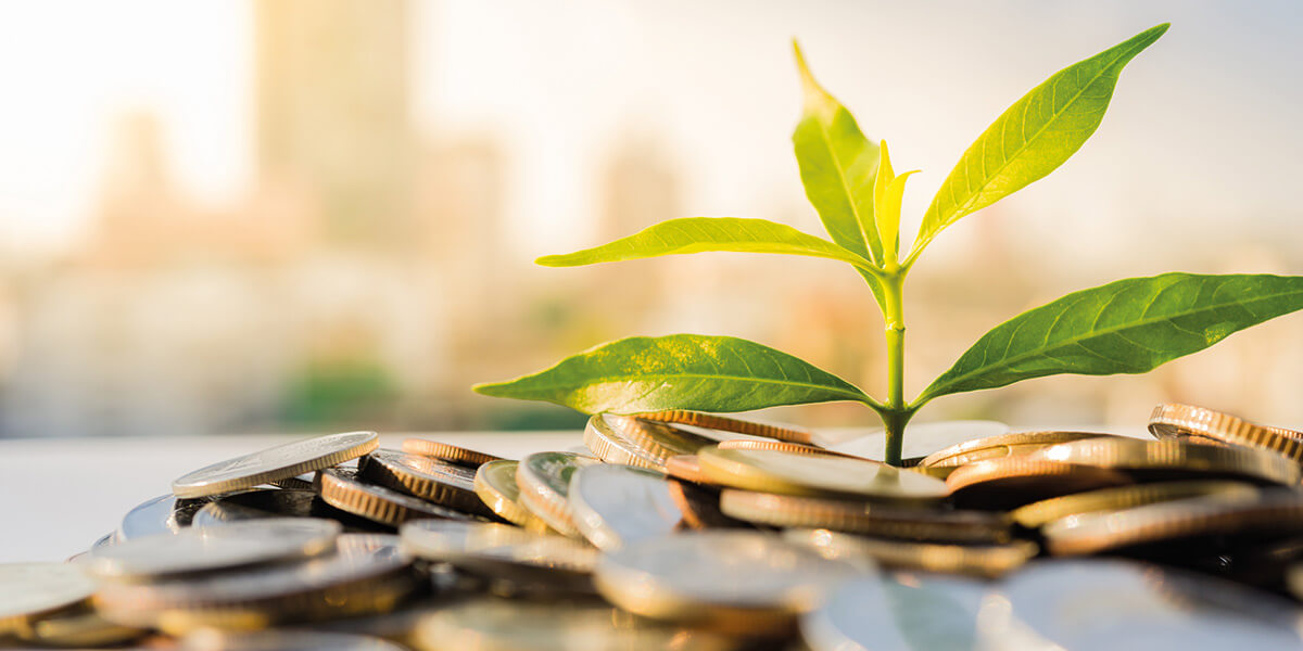 Aus einem Haufen Münzen wächst ein grünes Pflänzchen